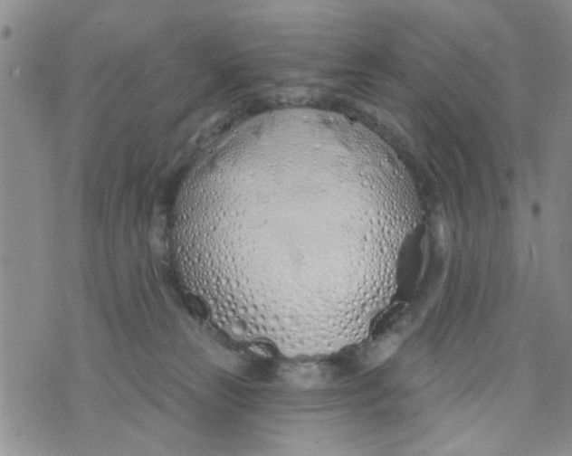 X0000073930181200609082312