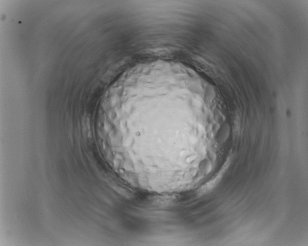 X0000073930182200609082312