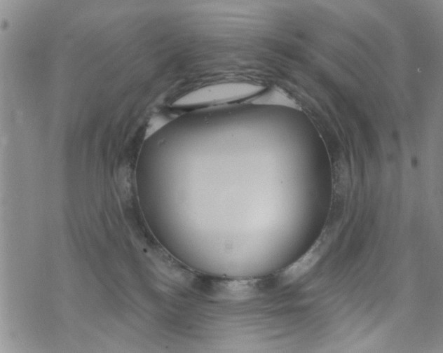 X0000073930184200609082312