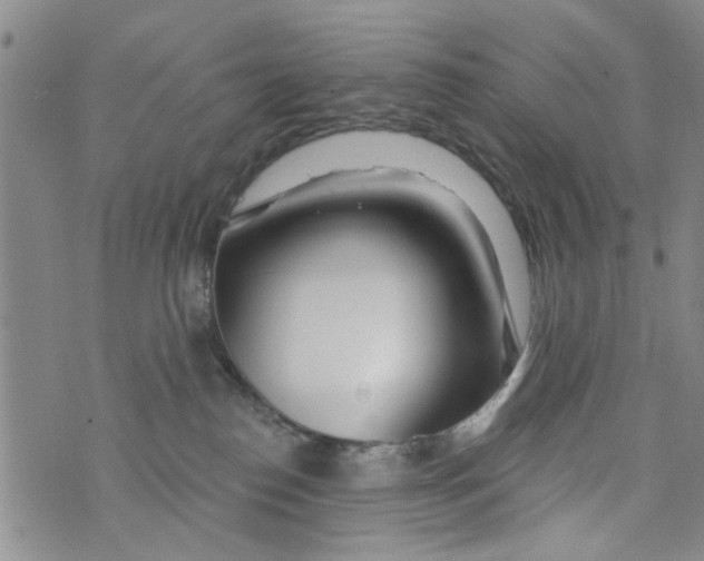 X0000073930186200609082312