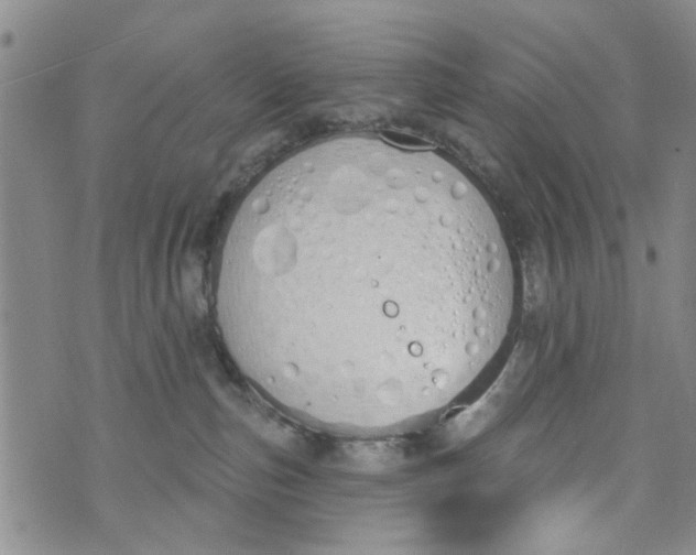 X0000073930187200609082312