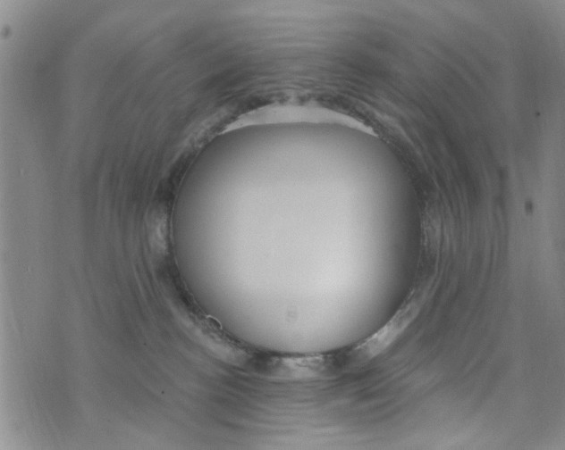 X0000073930188200609082312