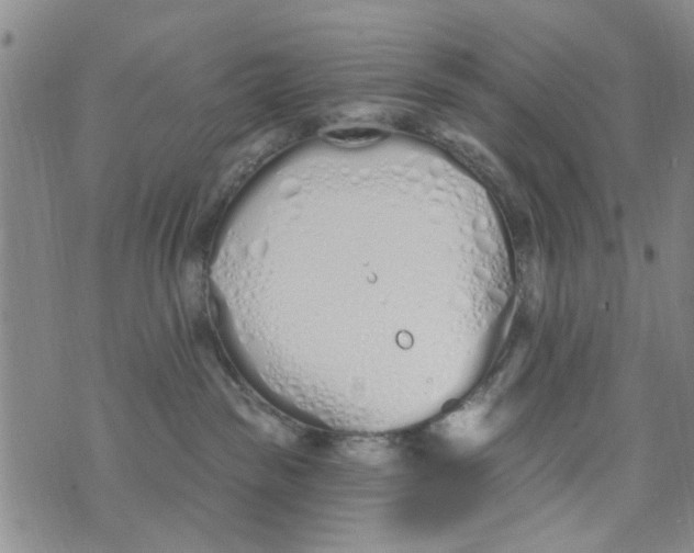 X0000073930189200609082312