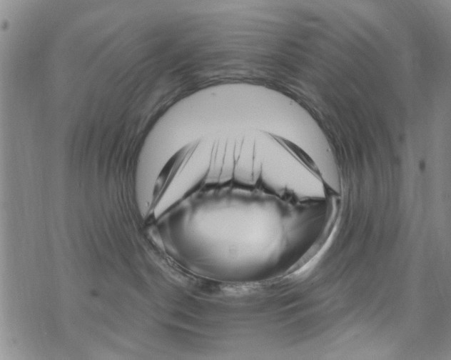 X0000073930190200609082312