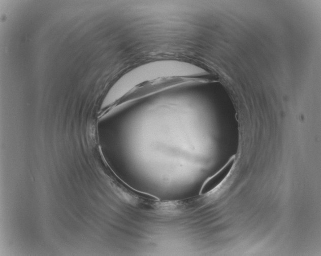 X0000073930192200609082312