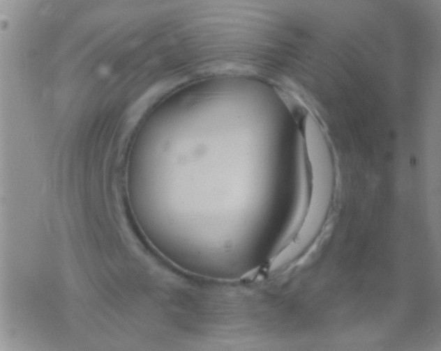 X0000073930193200609082311