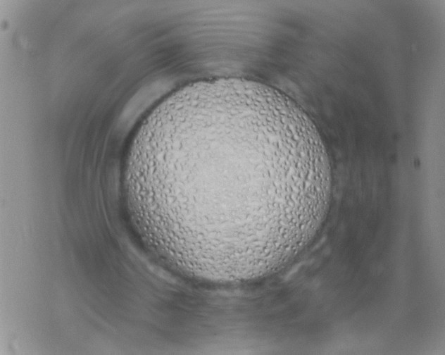 X0000073930194200609082311