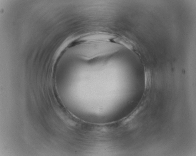 X0000073930195200609082311