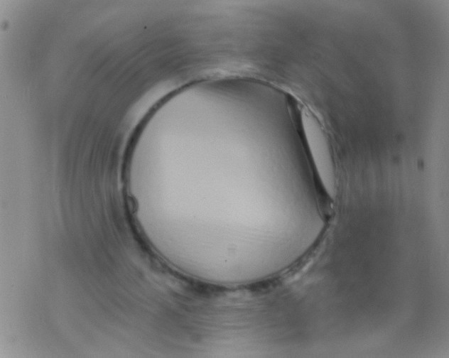 X0000073930196200609082311