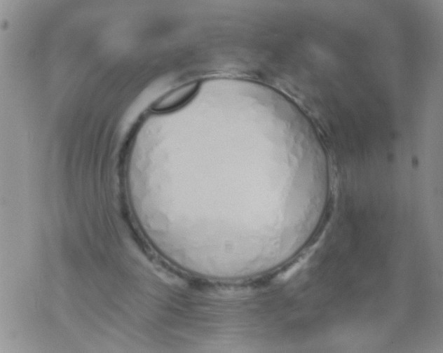 X0000073930198200609082311