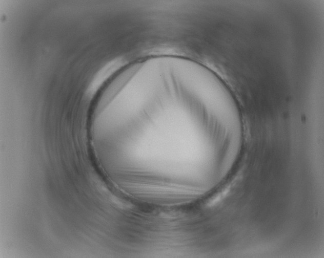 X0000073930199200609082311