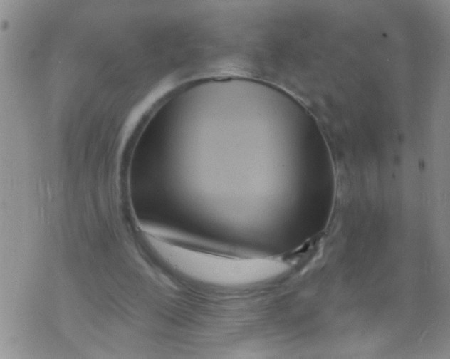 X0000073930200200609082311