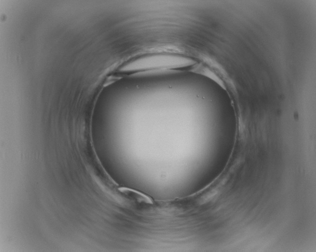 X0000073930201200609082311