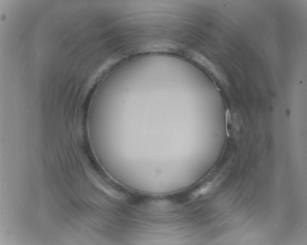 X0000073930203200609082311