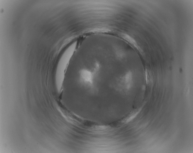 X0000073930205200609082311