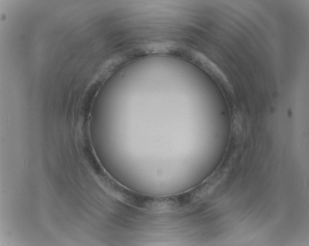 X0000073930209200609082311