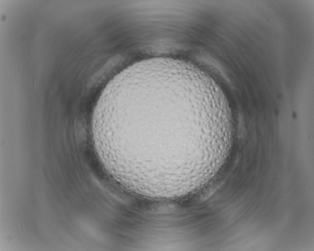 X0000073930210200609082311