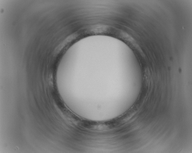 X0000073930212200609082311