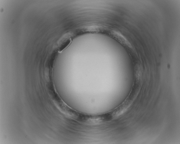 X0000073930213200609082311