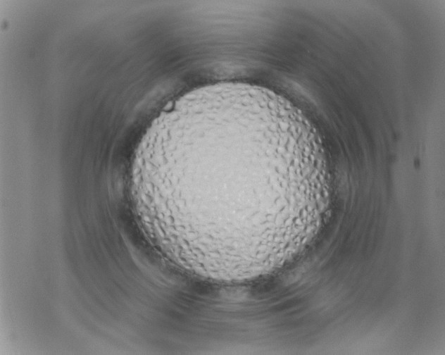 X0000073930214200609082311