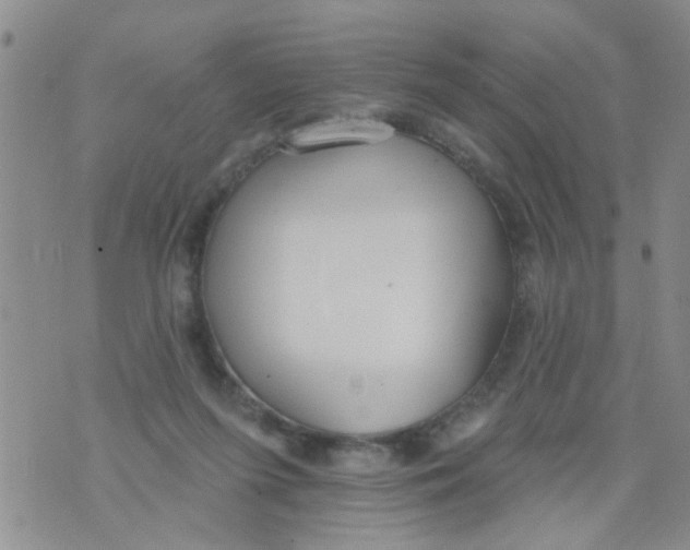 X0000073930215200609082311