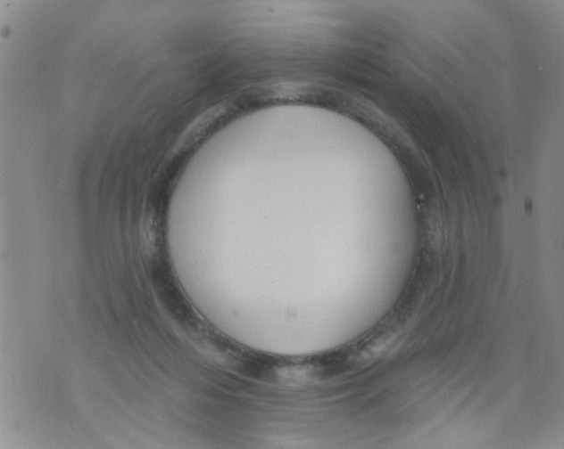 X0000073930216200609082311