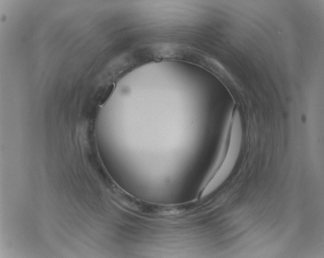 X0000073930217200609082311