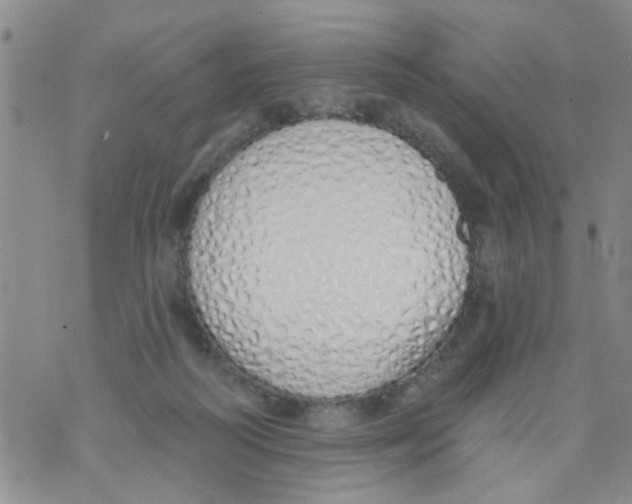 X0000073930218200609082311