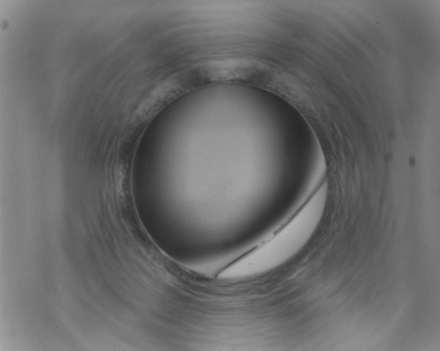 X0000073930219200609082311