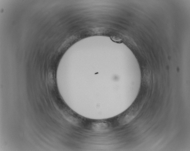 X0000073930220200609082311