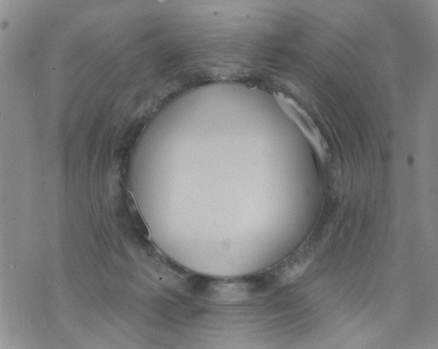 X0000073930221200609082311