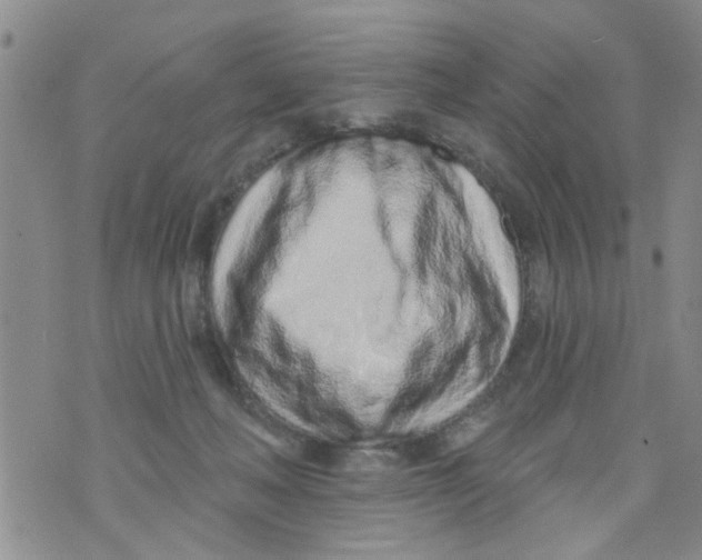 X0000073930222200609082311