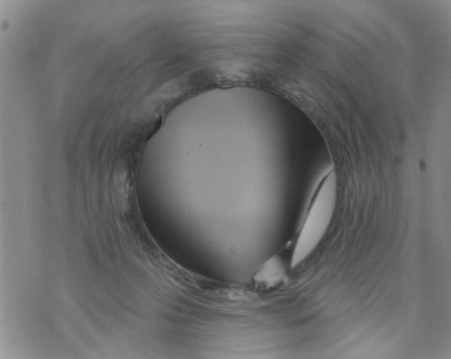 X0000073930223200609082311