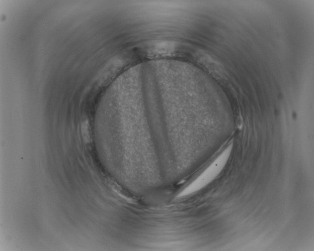 X0000073930224200609082311