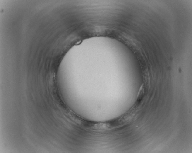 X0000073930225200609082311