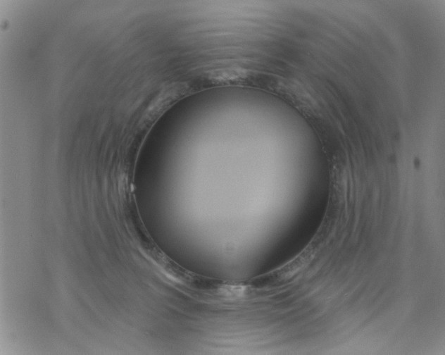 X0000073930227200609082311