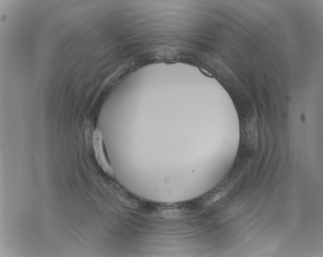 X0000073930228200609082311