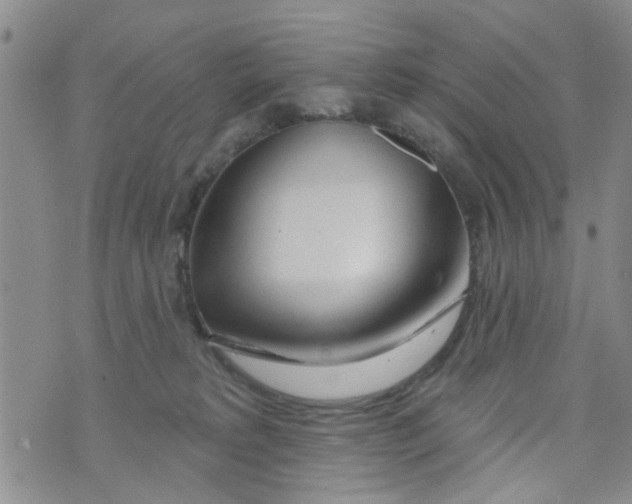 X0000073930229200609082311