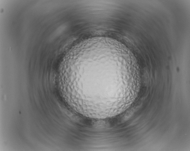 X0000073930230200609082311