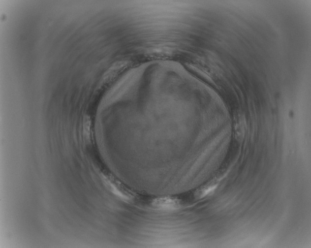 X0000073930231200609082311