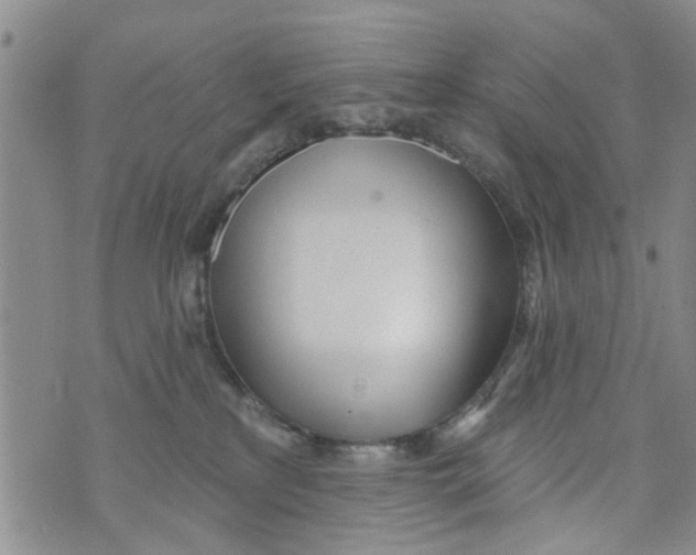 X0000073930233200609082311