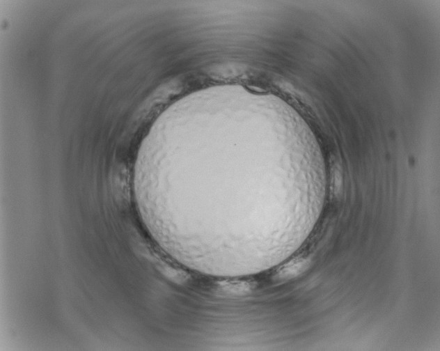 X0000073930234200609082311