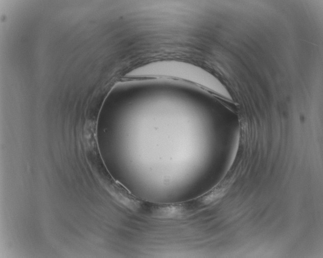 X0000073930237200609082311