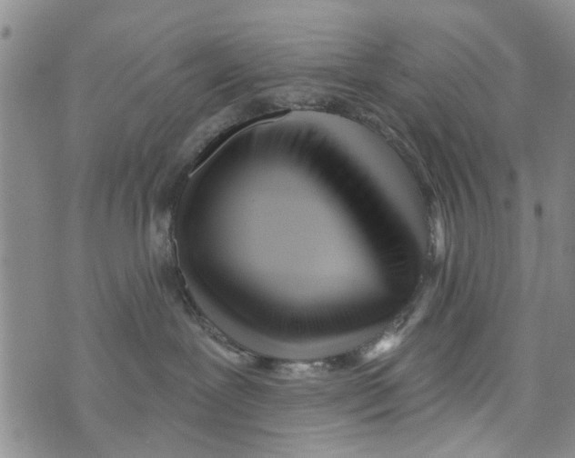 X0000073930239200609082311