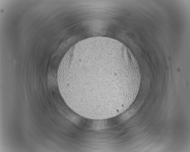 X0000073930240200609082311