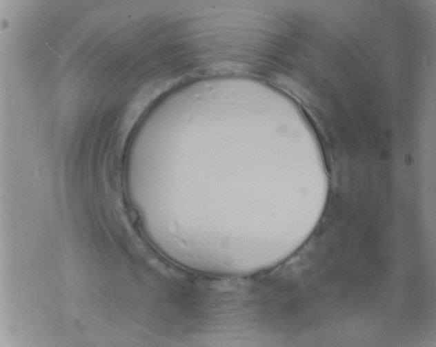 X0000073930241200609082310