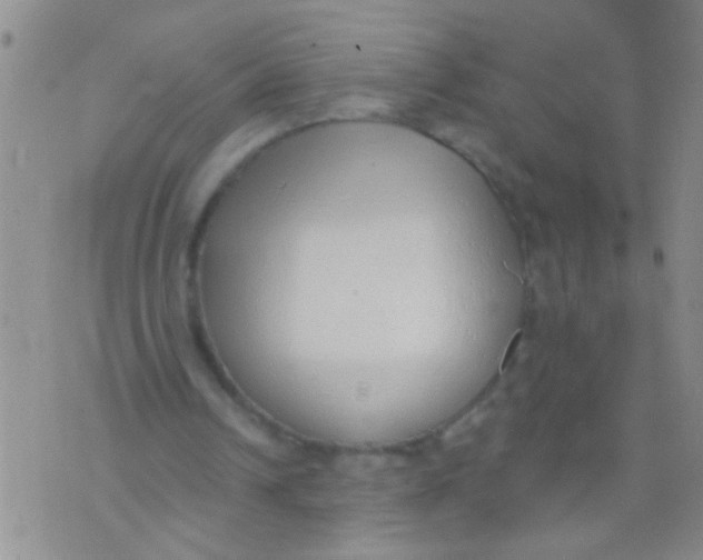 X0000073930242200609082310