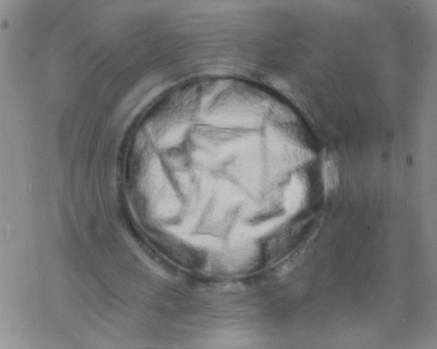 X0000073930243200609082310