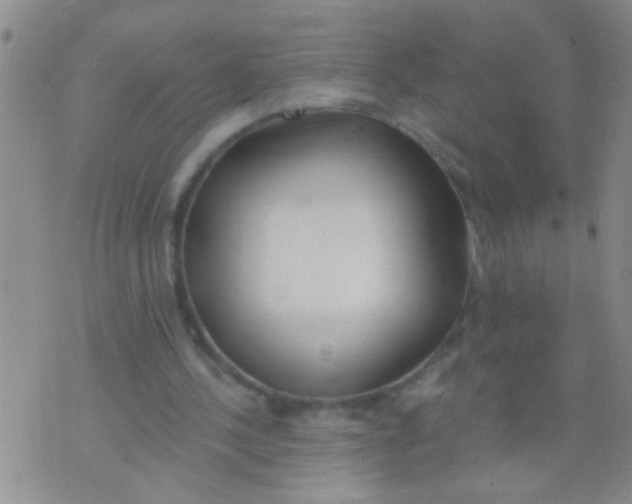 X0000073930244200609082310