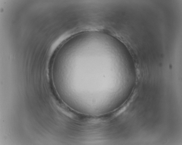 X0000073930246200609082310